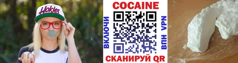 Купить  Новоалтайск  COCAIN FishScale 