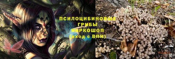 эйфоретик Струнино