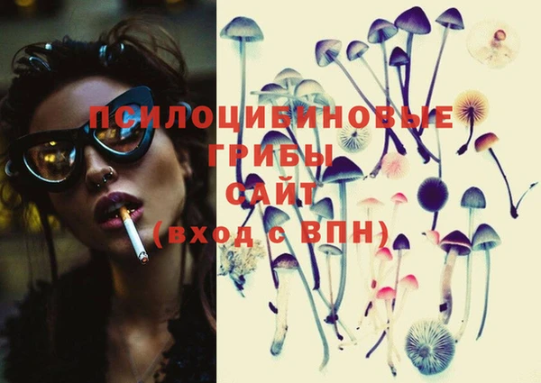 эйфоретик Струнино